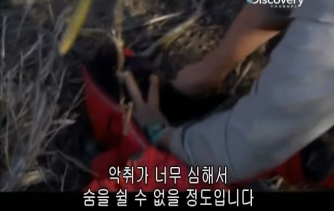 출처: Youtube 캡처