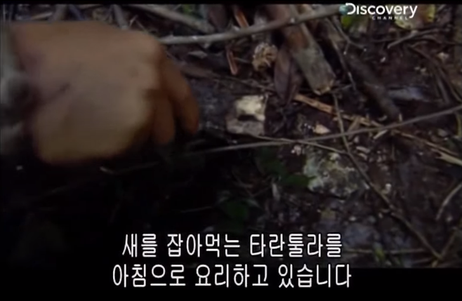 출처: Youtube 캡처