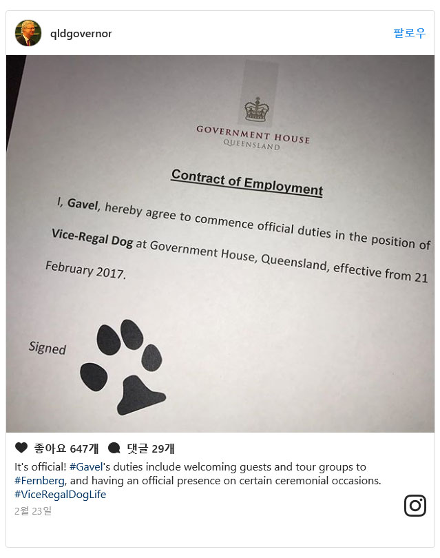 출처: Governor of Queensland 인스타그램