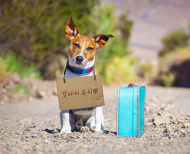 출처: gettyimages