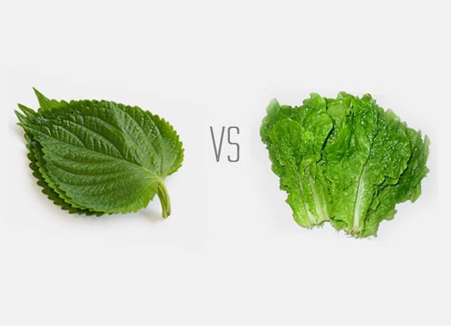 출처: 리얼푸드