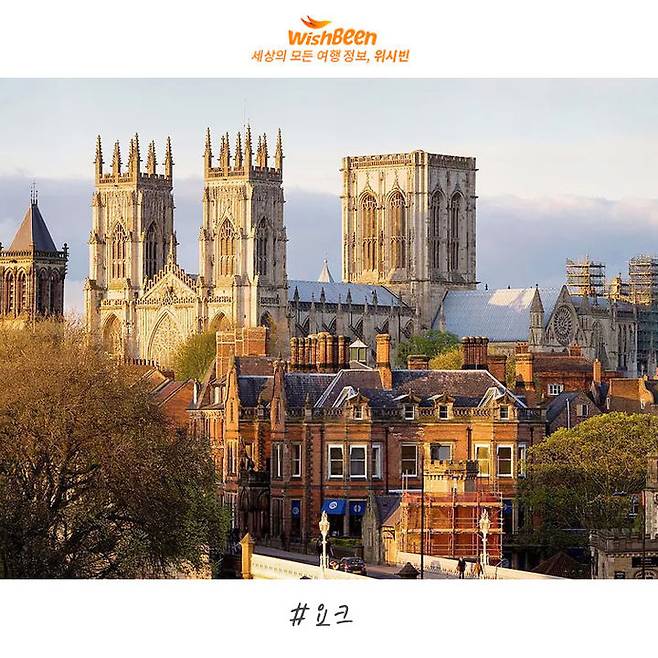 출처: ⓒWikimedia l Andy