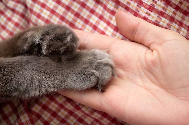 출처: 게티이미지뱅크