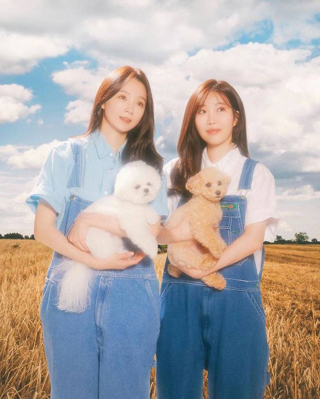 출처: 휴지 인스타그램