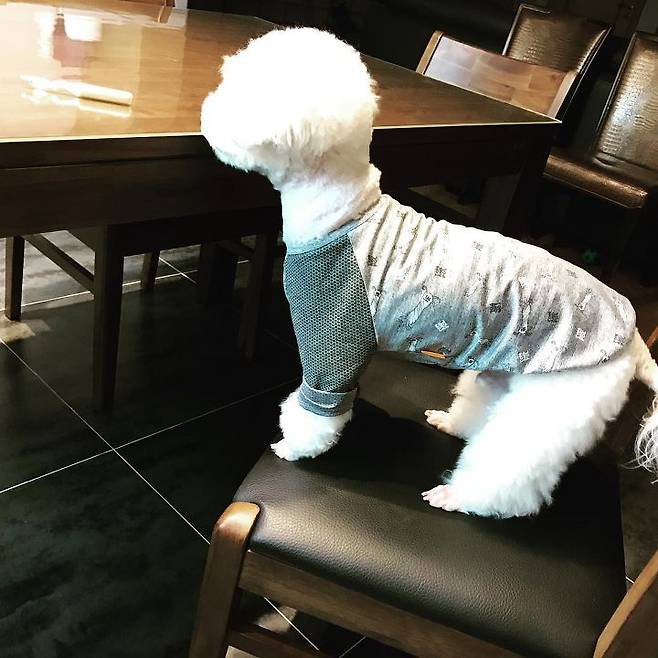 출처: 세훈 인스타그램