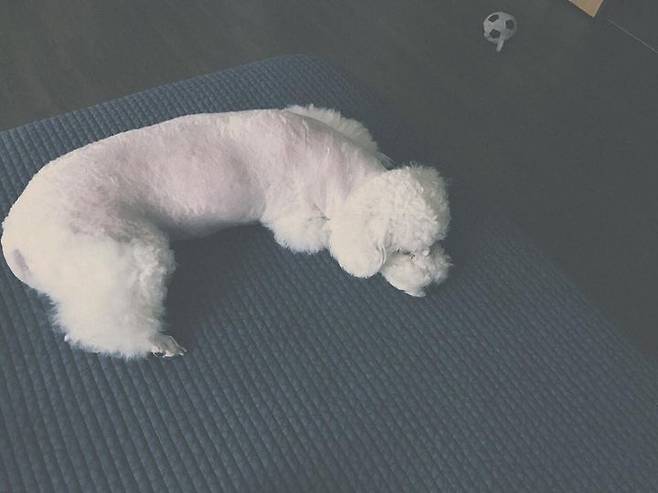 출처: 세훈 인스타그램