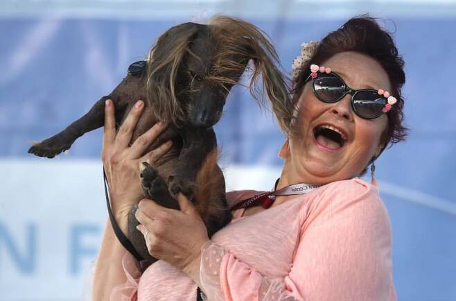 출처: Buzz Feed-This Year's Winner Of The "World's Ugliest Dog"