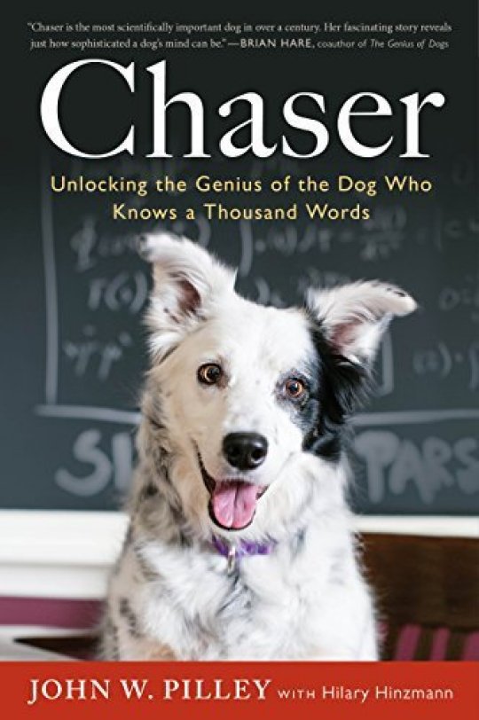 출처: World’s cleverest dog dies after mastering over 1,000 words and basic grammar