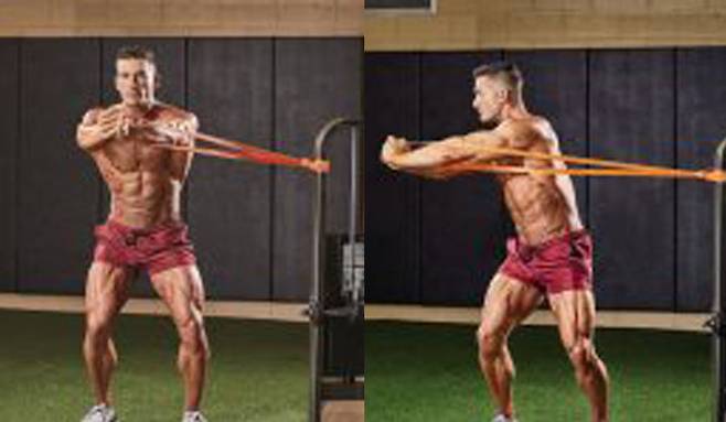 출처: 머슬앤피트니스