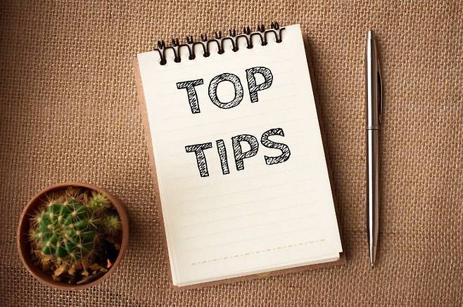 출처: 셔터스톡