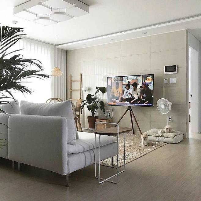 출처: <다용도테이블> 등 제품정보 모아보기(▲이미지클릭)