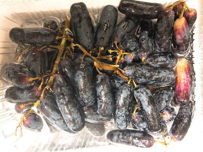 출처: 리얼푸드