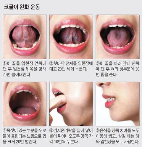 코골이 완화 구강 운동법./조선일보 DB