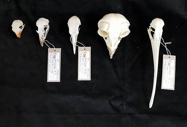 출처: 서울대공원 제공