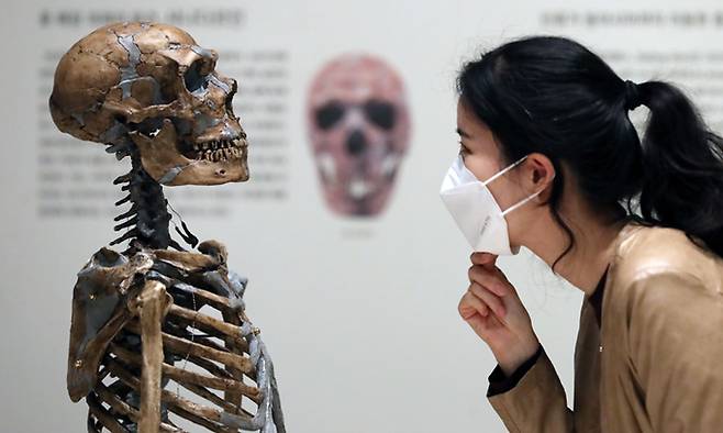 인류의 원형인 고인류를 마주하면 ‘인간이란 무엇인가’라는 의문을 떠올려봄 직하다. 지난 17일 열린 국립중앙박물관 기획특별전 ‘호모 사피엔스’ 언론공개회에서 한 참석자가 전시품을 들여다보고 있다. 뉴시스