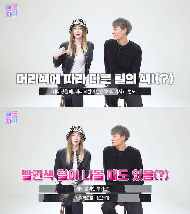 출처: 코리안브로스 유튜브 채널