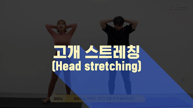 출처: 파이헬스 (파이베트)