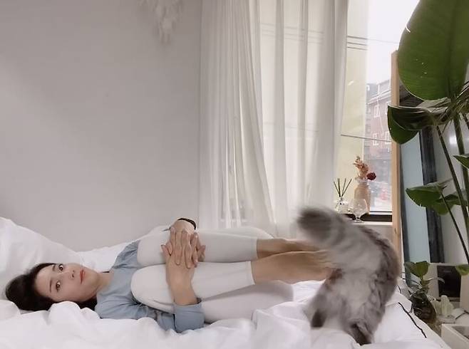 출처: 파이피플 (파이베트)