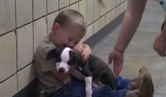 출처: https://www.ksat.com/news/national/2020/09/08/boy-with-cleft-lip-finds-perfect-puppy-at-michigan-shelter/