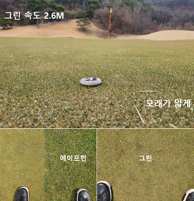 출처: allthatgolf.kr