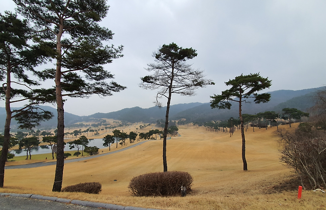 출처: allthatgolf.kr