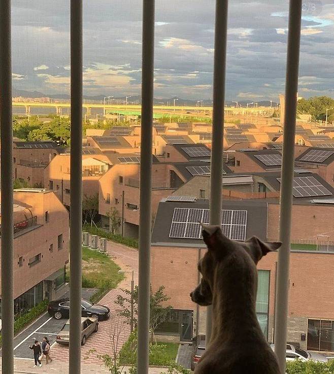 출처: 오늘의집 온라인 집들이 보러가기 (▲ 이미지 클릭)