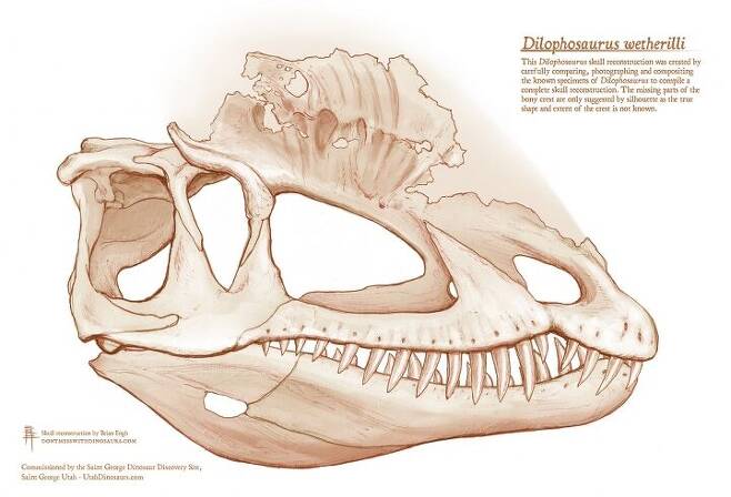 출처: Brian Engh, commissioned by The Saint George Dinosaur Discovery Site