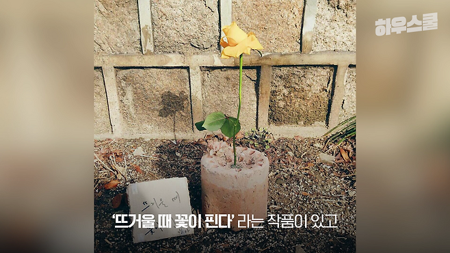 출처: '뜨거울 때 꽃이 핀다' - 이효열
