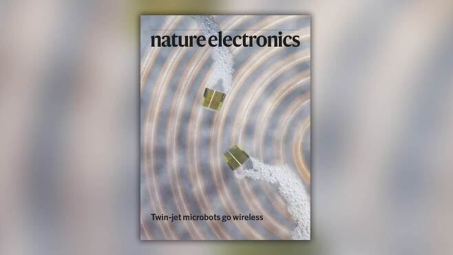 출처: Nature Electronics