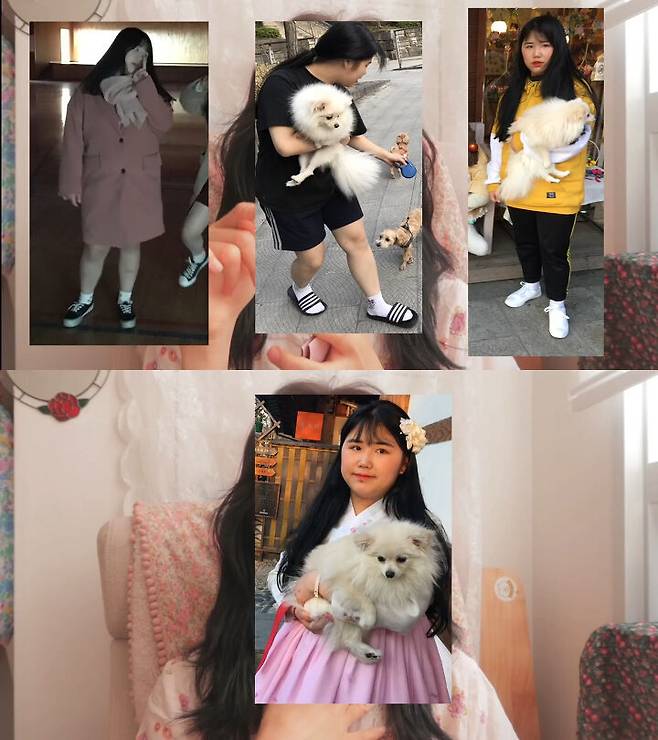 출처: 시야미 유튜브 채널