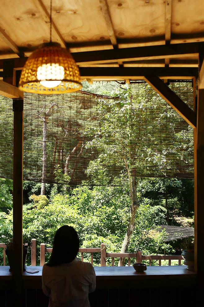 한옥 마을 인근 진관사에는 전통 차를 맛볼 수 있는 연지원이 있다. 진관사를 오르느라 가빴던 숨을 잠시 고르기 좋다./양수열 영상미디어 기자