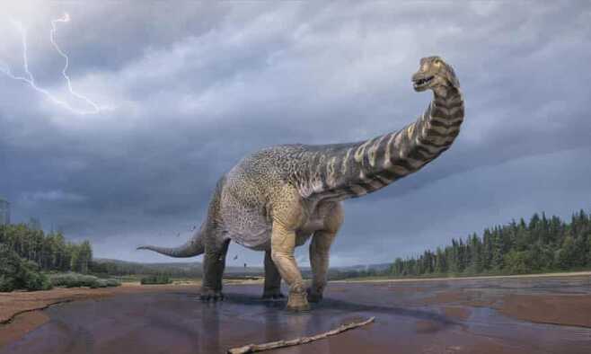 호주 퀸즐랜드 남서부지역에서 발견된 화석은 대형 초식 공룡인 티타노사우르 계통의 신종 공룡으로, ‘오스트랄로티탄 쿠페렌시스’(Australotitan cooperensis) 라고 명명됐다.