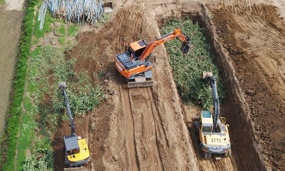 지난 7일 과수화상병이 확진된 충남 예산군의 한 사과농장에서 7일 굴삭기를 이용해 사과나무를 땅에 묻고 있다. 연합뉴스
