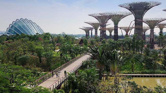 싱가포르 가든스 바이 더 베이 전경. 정원의 전체 면적은 101㏊(약 30만5500평)다. /사진 제공=가든스 바이 더 베이