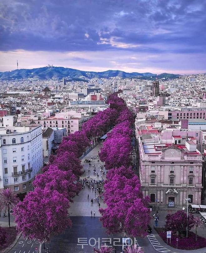 바르셀로나, 람블라스 거리 /사진-스페인관광청 ⓒTurespaña