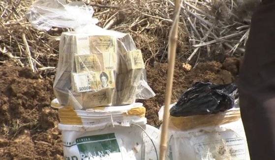 2011년 4월 경찰이 김제 마늘밭에서 찾은 돈다발. 중앙포토