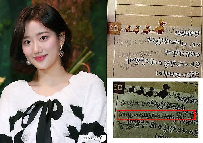 /사진=뉴스1, 이나은 친언니 인스타그램, 온라인 커뮤니티