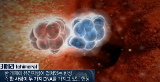 MBC ’실화탐사대’ 방송 화면 캡처