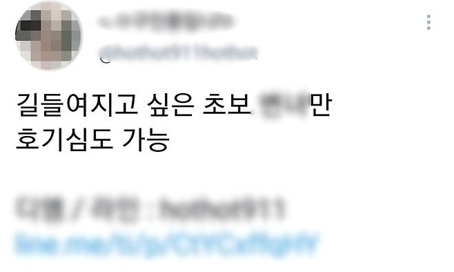 트위터에서 ‘노예놀이’ 파트너를 구하는 게시글. 트위터 캡쳐