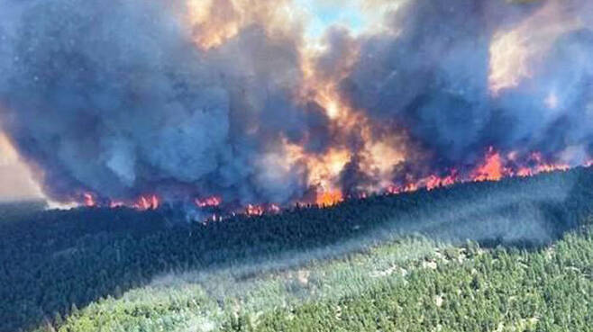 캐나다 서부 스파크스레이크의 산불 현장 (사진=AFP, 연합뉴스)