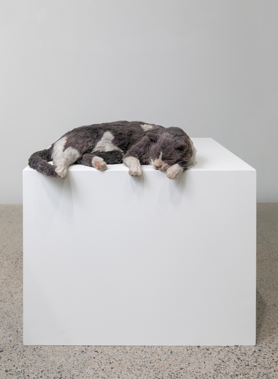 ″The thermals made me lazy, or The squatters (Smoky meet Monk’s Deflated Sculpture II (2009))″ (2020) by Ryan Gander [SPACE K]