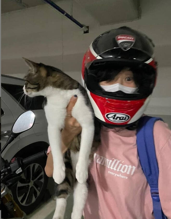 Choi Kang-hee posted two photos on her Instagram account on Saturday with an article entitled Selub Catrang.In the open photo, Choi Kang-hee is looking at the camera with Cat wearing a motorcycle helmet. Choi Kang-hee announced that this Cat is cat rock.Catbawi is known as Cat by a gagwoman Kim Sook acquaintance, whose Instagram account is popular enough to have 2,500 followers.Meanwhile, Choi Kang-hee appeared on KBS 2TV drama Hello? Its me!, which last April.