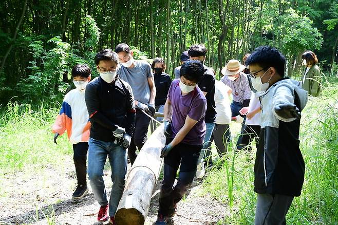 곡성 오산초등학교 학생 가족들이 지난 6월 섬진강 제월섬에서 진행된 트리하우스 만들기 프로그램에서 나무를 옮기고 있다. 곡성교육지원청 제공