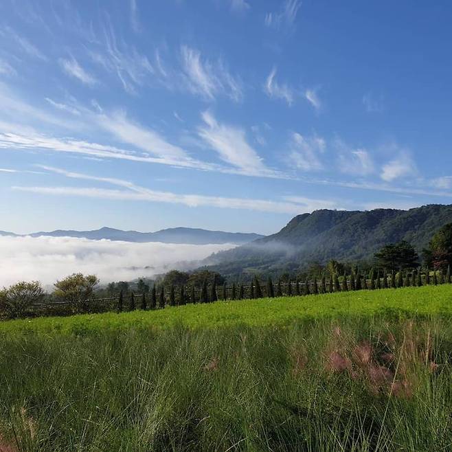 인스타그램 @leesumi_farmberry