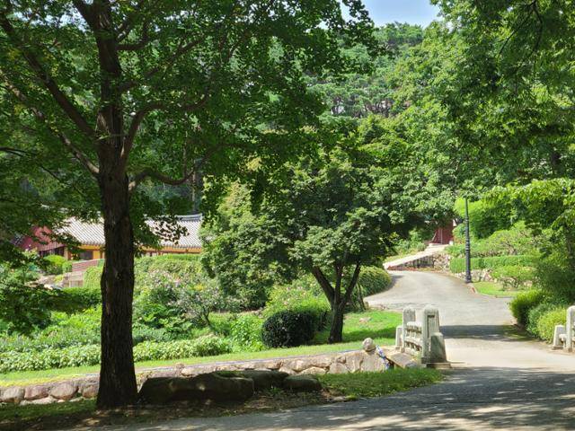 주호영 국민의힘 의원은 '가짜 수산업자' 김모씨를 통해 스님에게 대게를 보낸 것으로 파악됐다. 대게를 받은 스님이 머물렀던 경북 경주 한 사찰의 선원 전경. 경주=이유지 기자