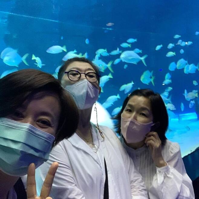 Broadcaster Park Mi-sun enjoyed Yang Hee-eun, Lee Seong-Mi and Date.Park Mi-sun said on July 28th in his personal instagram, Aquarium Date 50s 60s 70 The Cost I play with this.And posted several photos.Park Mi-sun in the public photo visits Aquarium with Yang Hee-eun and Lee Seong-Mi to leave a certification shot.The three people who are enjoying Oh Soon Soon Date are happy.Especially, I made memories by taking a cute mirror selfie. I added warmth to the appearance of returning to my concentric mind regardless of Age.Meanwhile, Park Mi-sun married comedian Lee Bong-won.Recently, he is appearing in JTBC entertainment I can not be No. 1.