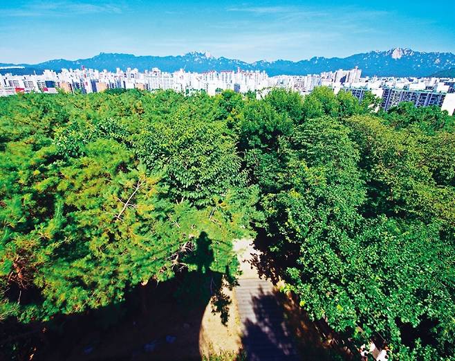 불암산 전망대에서 본 풍경. 멀리 백악산(북악산), 북한산, 도봉산이 보인다.
