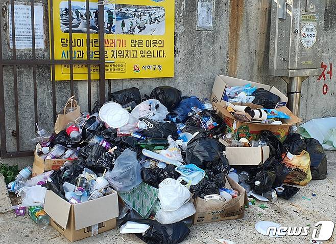 31일 낫개방파제 입구에 쌓여 있는 쓰레기들.2021.7.31/© 뉴스1 노경민 기자