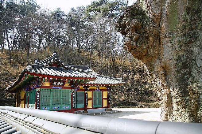 김제 망해사 / 사진-전라북도 공식 블로그 '전북의 재발견' 제공