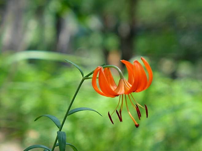 산이 높아지자 산허리에 햇살이 들었다.